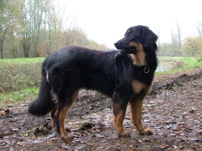 Komt daar nu niemand aan??