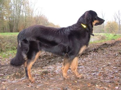 Ik peins da het langs ginder is...