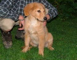 Elmo's eerste stapjes op zijn nieuwe thuis.