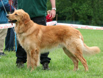 Elmo klaar voor een staatsgreep!