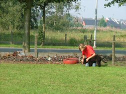Neen, laat g**@<! die leiband los!