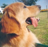 Axel heeft een mooie snoet!