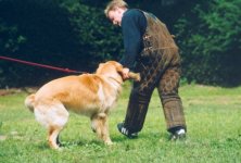 Ik leer bijten, grrrrrr.