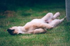 Axel vindt rollen ohhh zo leuk!