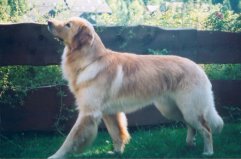 Axel bekijkt de bergen.