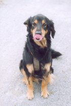 Kijk, ik kan met mijn tong aan mijn neus!!