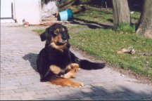 Aaahhh, lekker zalig in de zon!