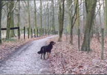 Helemaal alleen op een verlaten weg...