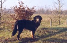 Jadzea poseert aan de Nete.