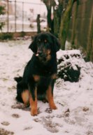 Jadzea's eerste sneeuw