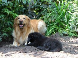 Nu valt zij mij hier ook al lastig!