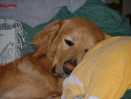 Het was weer een vermoeiende dag!