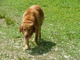 Echt, ik heb het niet gedaan...