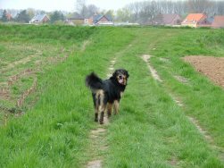 Moet ik helpen duwen?