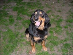 Ok, mag ik dan nu een koekje?