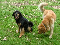 Ok, waar heb je die stok verstopt!?