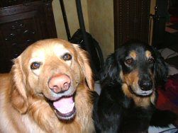 Voila, dat is nu mijn lief!