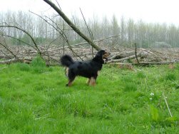 Ahhh, baas, de vrije natuur!