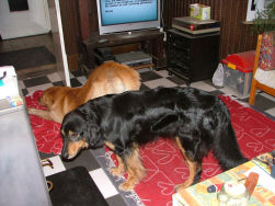 Baas... Axel laat mij weer zijne mooiste kant zien!