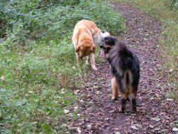 Den Axel doet weer RAAR!!