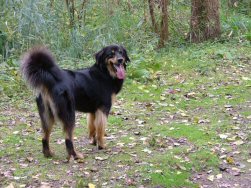 Waar blijven jullie nauw?!