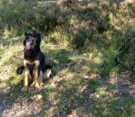 Zet je gerust maar naast mij!