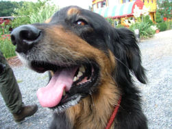 Baaaas!!! Ik heb dorst!!!