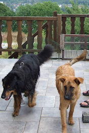 Jadzea en Asun op bezoek in Barveaux.