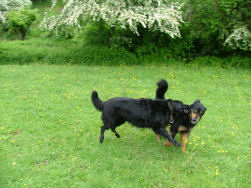 Dunja en Jadzea vermaken zich best.