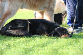 Jadzea haar favoriete houding.