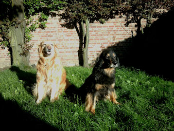 Er is er n jarig... dat is zij! (Jadzea en Axel: samen 24 jaar!)