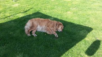 Snuuuuuuuuuurkkkkk!!