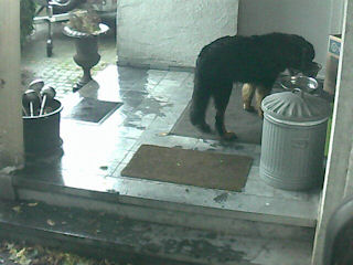 Even naar de voedselbank...