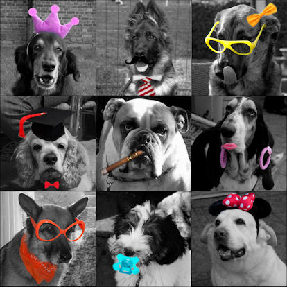 Prinses Jadzea en vrienden...