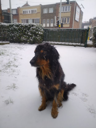 B'Elanna vindt da wit spul maar niets. (17/01/2024)