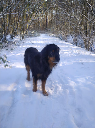 Wandelen in de sneeuw... toch wel leuk hoor!(18/01/2024)