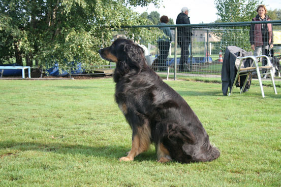 OK, wat nu baas?? (23/09/2023).