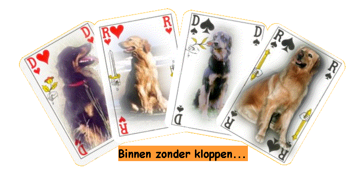 Klik hier om de website te bezoeken...