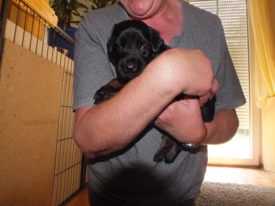 Pepper, ze is zo lief !! 2 weken oud.