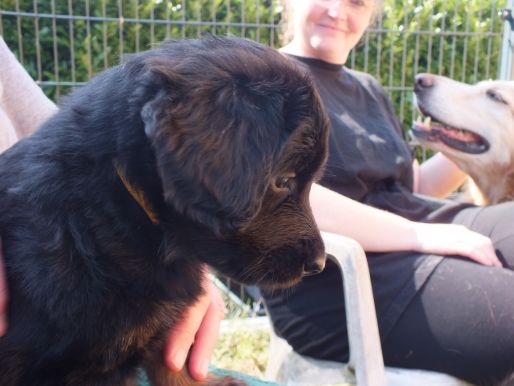 Pepper Even mediteren..., 4 weken oud.