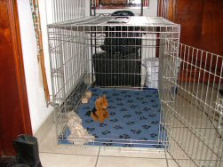 Mijn thuis, de Bench