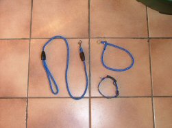 Joepie ik mag mee, aan de leiband!