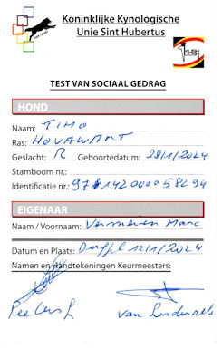 Timo, de sociale hond...