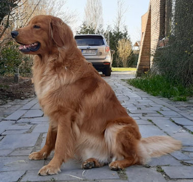 Mijn toer om te waken! (20/03/2025)