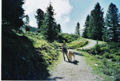 Het is heerlijk in de Oostenrijkse bergen!