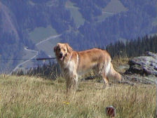 Baas...is die foto nog nie getrokken? 't is hier diep!