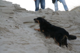 Familie van Elmo en Dunja: Phoebe (Angel 2006).