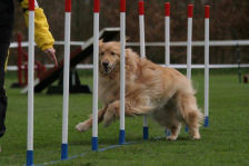 Astrix in volle actie!