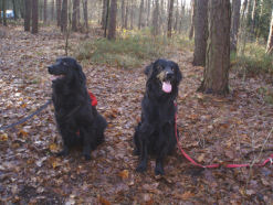 Moeder en zoon: Bayka en Dante.