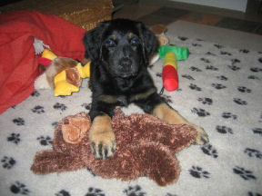 Chiara met beer... lief h�?!